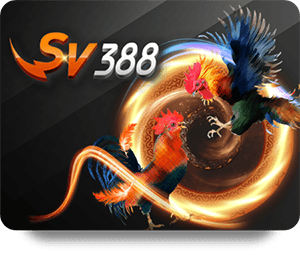 Kinh Nghiệm Soi Kèo Cao Thủ Tại 1xBet Để Tăng Tỉ Lệ Thắng